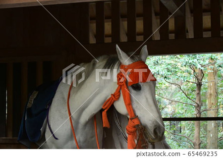 Ise Shrine Geku Jinma 65469235