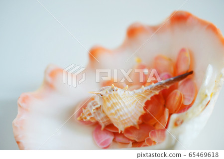 在夏天的海灘上吸引了運氣的櫻井的回憶 在夏天的海灘上吸引了運氣的櫻井的回憶 65469618
