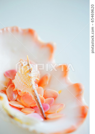 Memories of Sakuragai that attracted good luck on the summer beach Memories of Sakuragai that attracted good luck on the summer beach 65469620