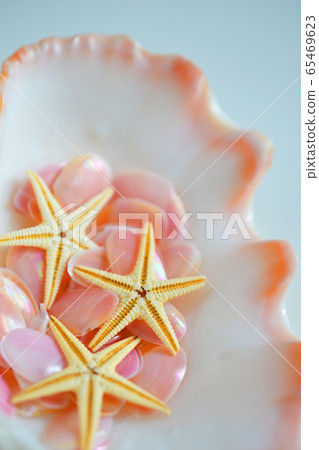 在夏天的海灘上吸引了運氣的櫻井的回憶 65469623