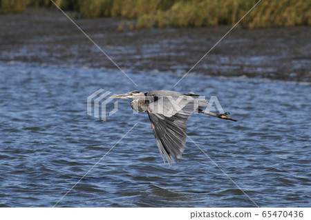 Oohara Oohara 65470436