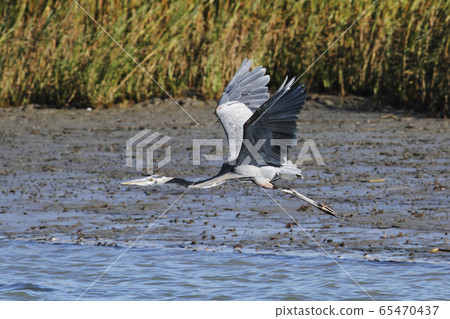 Oohara Oohara 65470437