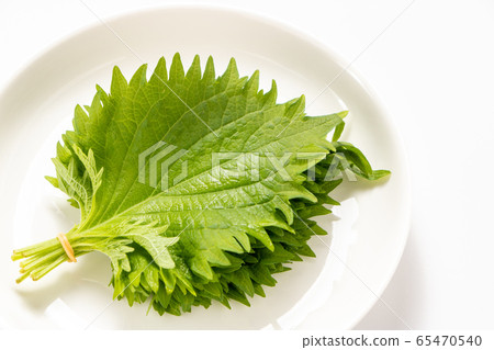 大葉子,藍色紫蘇葉子。 (用橡皮筋捆紮並放在白板上。) 大葉子,藍色紫蘇葉子。 (用橡皮筋捆紮並放在白板上。) 65470540