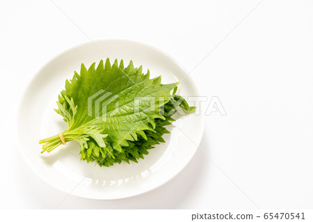 Large leaf, blue perilla leaf. (Bundled with rubber bands and placed on a white plate.) Large leaf, blue perilla leaf. (Bundled with rubber bands and placed on a white plate.) 65470541