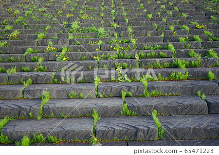 Stairway of park 65471223