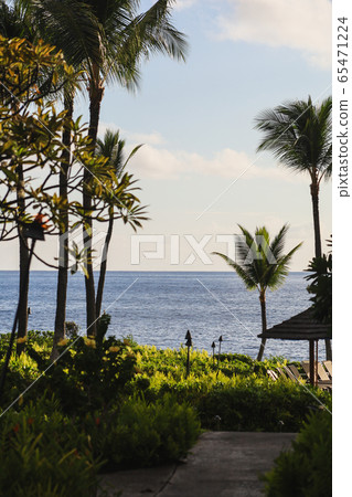 （夏威夷）永恆的夏日風光 65471224