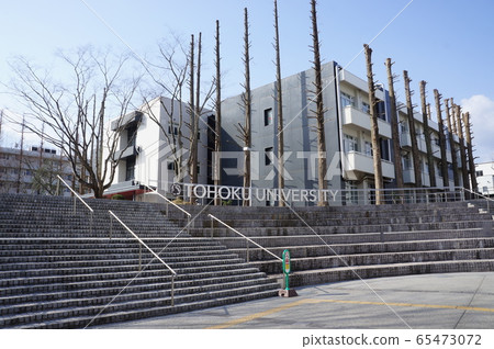 東北大學 65473072