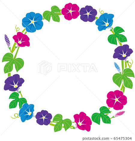 夏天框架/牽牛花的插圖 夏天框架/牽牛花的插圖 65475304