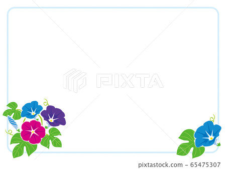 夏天框架/牽牛花的插圖 夏天框架/牽牛花的插圖 65475307