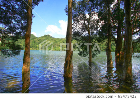 3 Aug 2008 the Hong Kong Shing Mun Country Park. 65475422