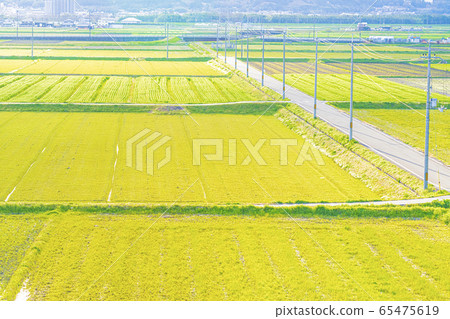 黃昏的鄉村景觀 黃昏的鄉村景觀 65475619
