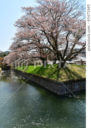 Tatsuoka Castle 5001 65475945