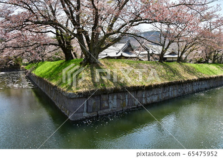 龍岡城5005 65475952