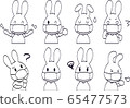 Rabbit in black and white with a mask 65477573