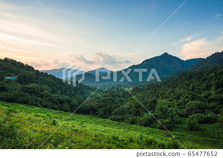 High angle view of Valley and mountain landscape High angle view of Valley and mountain landscape 65477652
