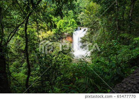 Landscape of peaceful waterfall in the tropical Landscape of peaceful waterfall in the tropical 65477770