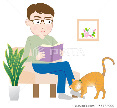 Cat rubbing the feet of its owner 65478000