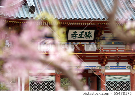 Katsuoji mountain cherry blossoms 65478175