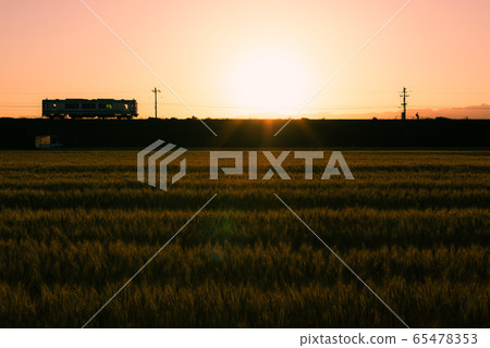 Wheat field and train at sunset Wheat field and train at sunset 65478353