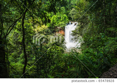 Landscape of peaceful waterfall in the tropical Landscape of peaceful waterfall in the tropical 65478928