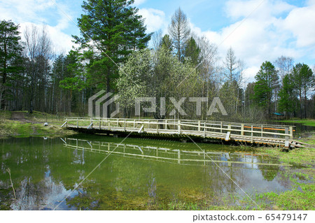 wooden bridge over a small lake in the spring wooden bridge over a small lake in the spring 65479147