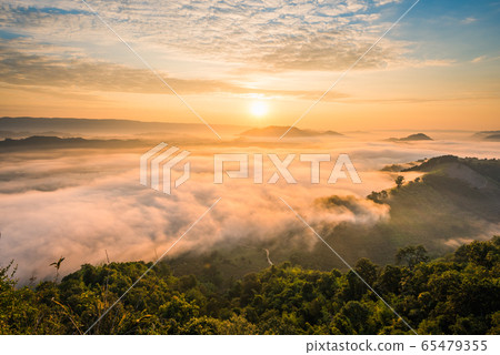 Sunrise and the mist in winter morning 65479355