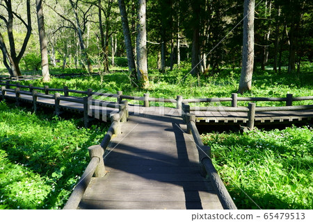 長野縣白馬村 65479513