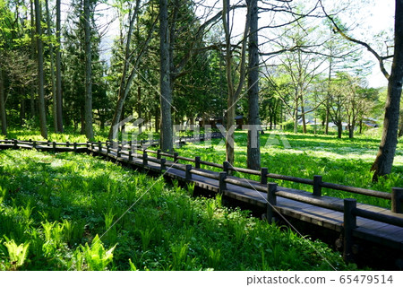 長野縣白馬村 長野縣白馬村 65479514