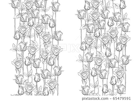 Outline roses seamless pattern, background. Outline roses seamless pattern, background. 65479591
