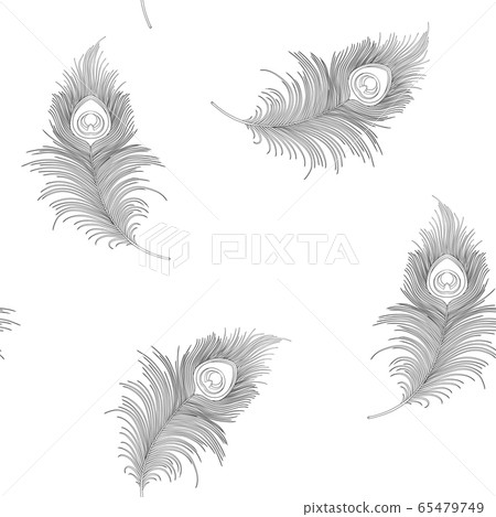 Seamless Contour Pattern of Black Peacock Feathers on a White Background,  Stock Illustration - Illustration of repeat, decor: 270696364