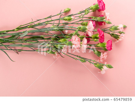 Fresh Carnation Flower Bouquet Dianthus or 65479859