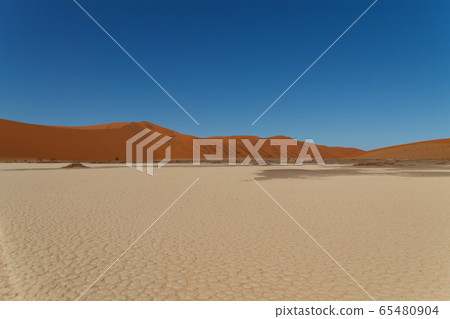 Hidden Vlei 65480904