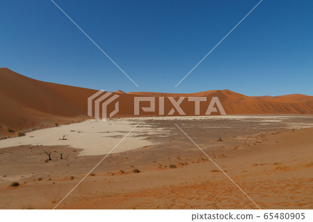 Hidden Vlei Hidden Vlei 65480905