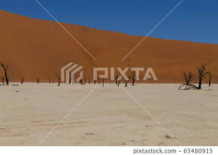 Dead Vlei Dead Vlei 65480915