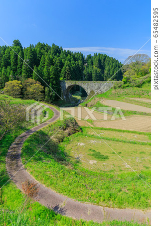 Kumamoto_Fresh green and Tsuruhashi Bridge 65482595