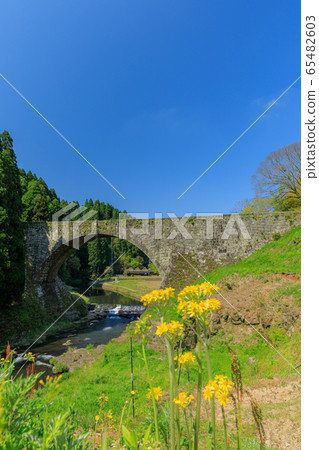 熊本_鮮綠色和鶴橋 65482603