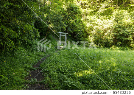 Hokkeido ruins, Minamoto no Yoritomo, Hojo Yoshitoki Tomb 65483236