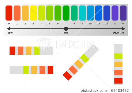 Test paper 65483482