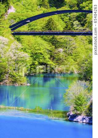 Fresh green and Akazawa Bridge (vertical) 65484263