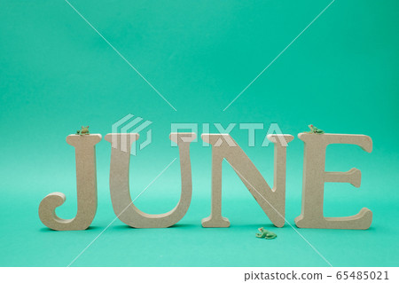“ JUNE”字母塊和微型青蛙放在綠色的背景 65485021