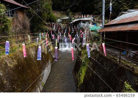 鯉魚旗 鯉魚旗 65486159