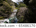 Kazura Bridge 65486170