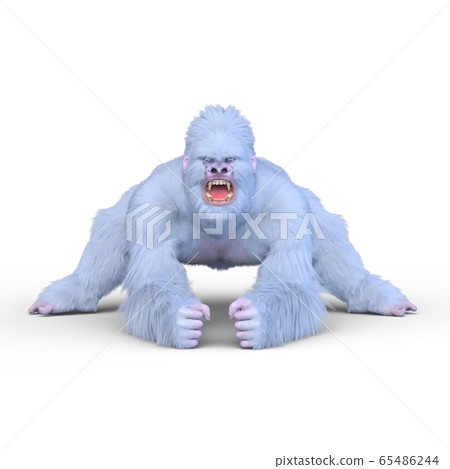 White gorilla White gorilla 65486244