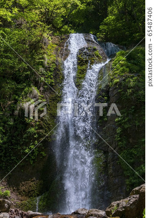 Fresh green and falls 65487406