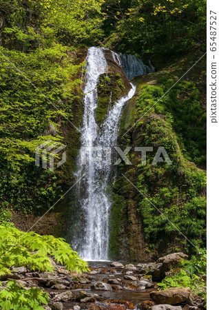 Fresh green and falls 65487527