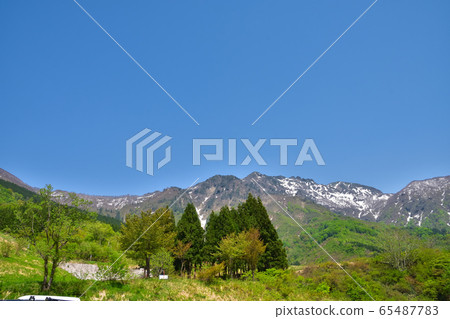 Niigata Hakkaisan with fresh greenery and remaining snow 65487783