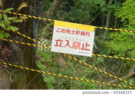 The spring Naganuma Park looks like this The spring Naganuma Park looks like this 65488355