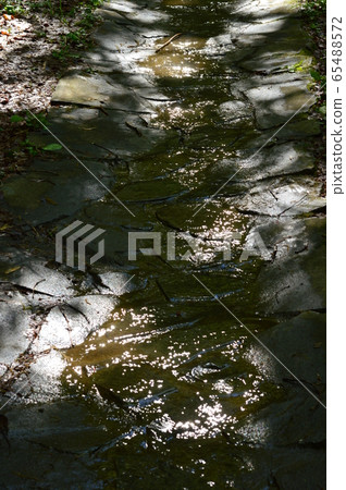 長沼公園八王子的春天 65488572
