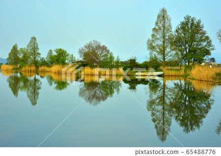 Waterside trees 65488776