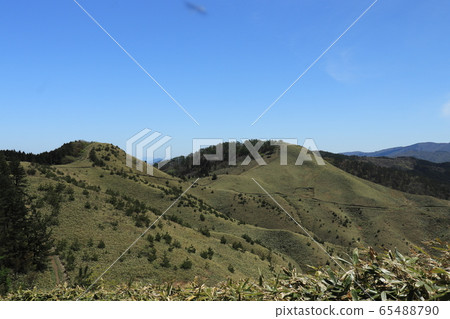 Yuzuki山 Yuzuki山 65488790